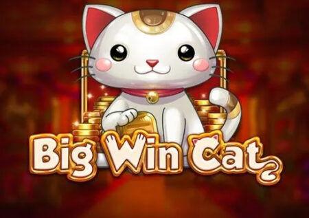 Big Win Cat Online Gratis