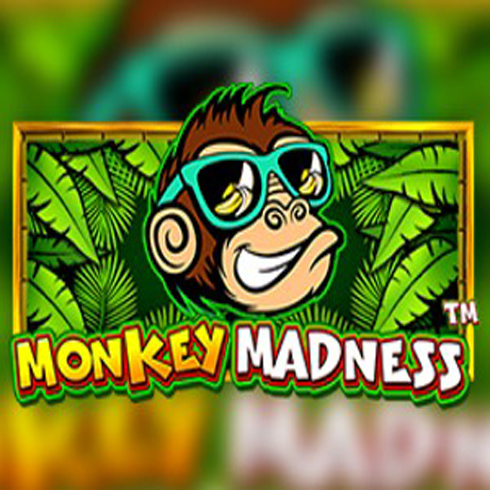 Monkey Madness Online Gratis