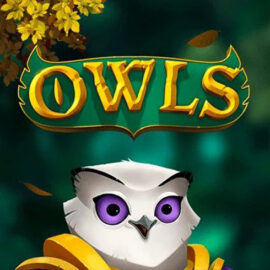 Owls Online Gratis