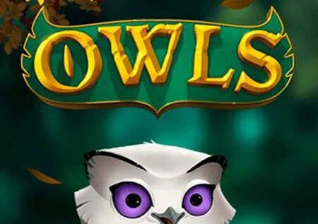 Owls Online Gratis