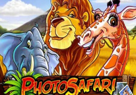Photo Safari Online Gratis