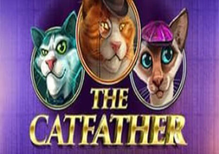 The Catfather Online Gratis