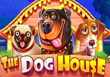 The Dog House Online Gratis