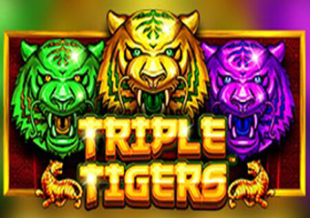 Triple Tigers Online Gratis