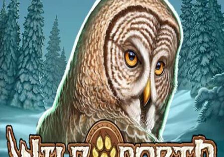 Wild North Online Gratis