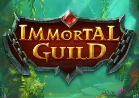 Immortal Guild Online Gratis